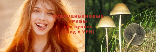 сатива Валуйки