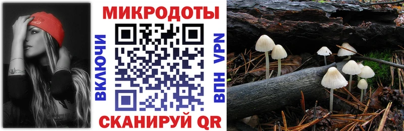 Галлюциногенные грибы MAGIC MUSHROOMS ОМГ ОМГ ссылки Кирово-Чепецк